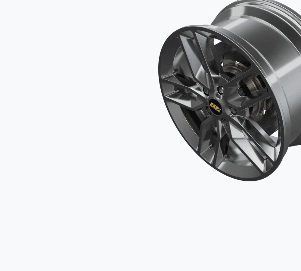 Wheelspacer DZX ST suspensions